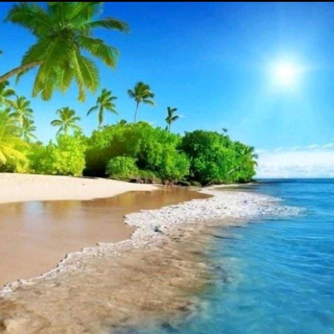 ℳ 依 💞 风 ☆♪