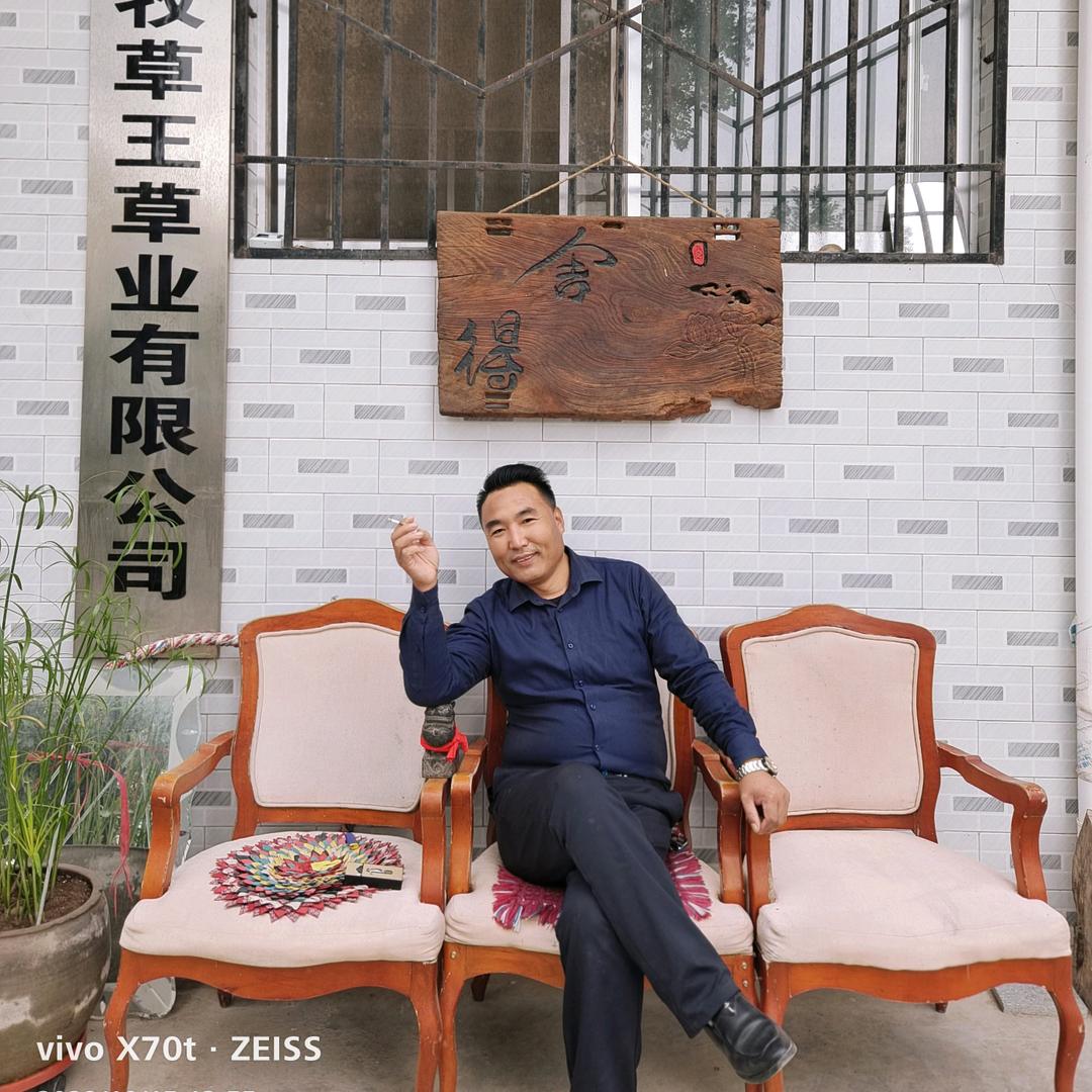 大合草业：专业生产销售玉米青贮草：金哥