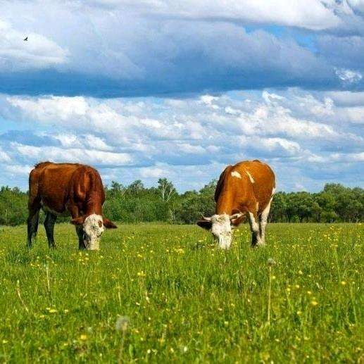 🌈潭头華仔🌈