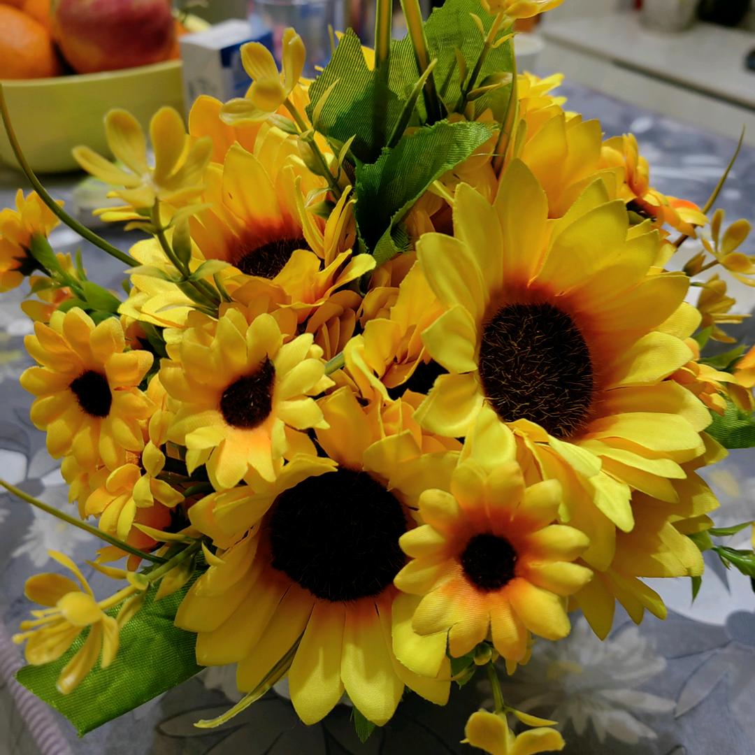 一如既往的胖团子