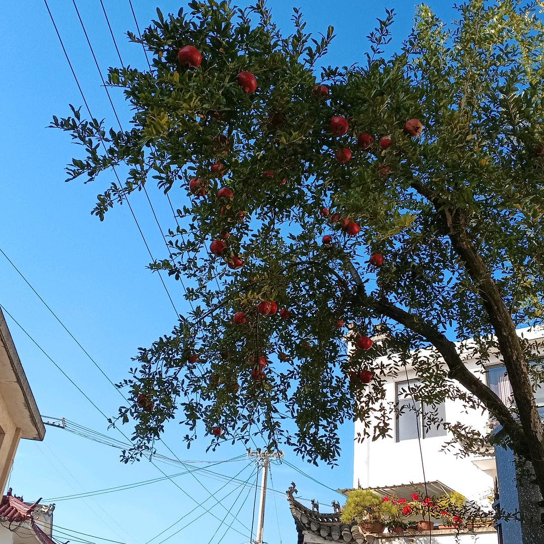 一条小河