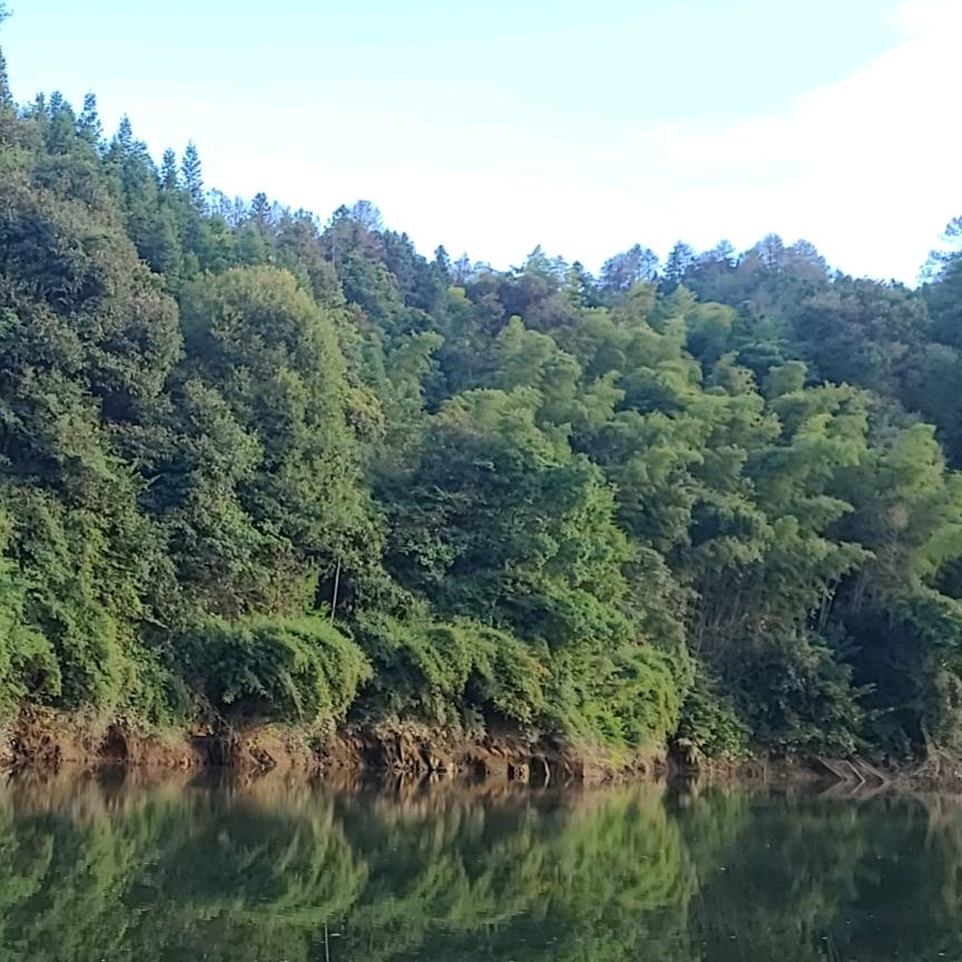 龙须酥