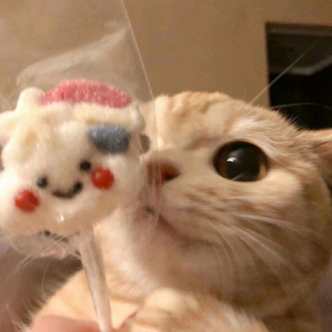 一lln