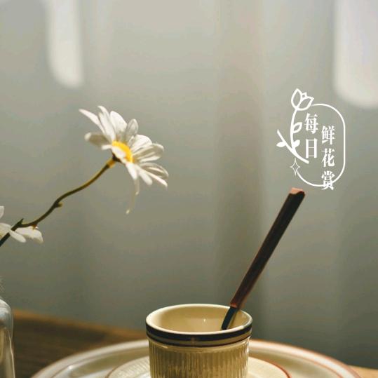人生如梦