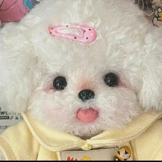 呼呼小昂^