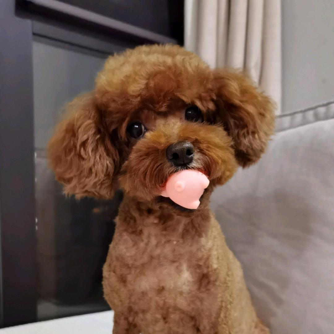 小西安