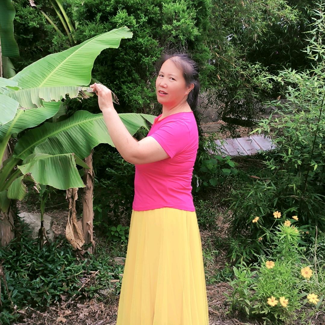 芦荟