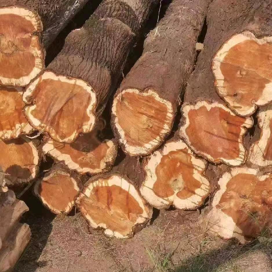 旬阳卖寿材的杨哥