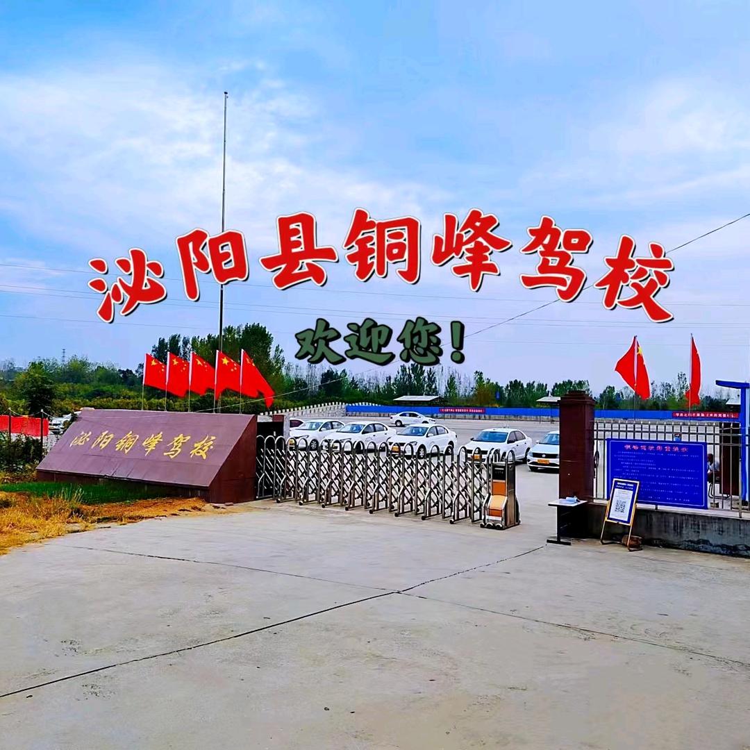 泌阳县铜峰驾校