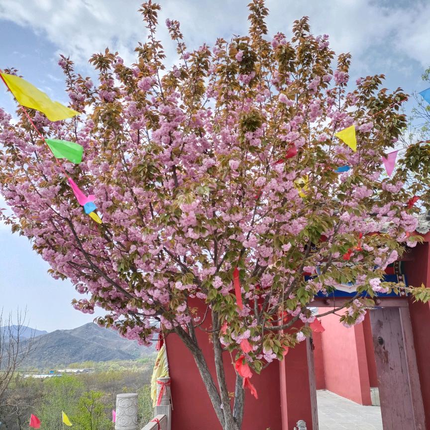 天津做折扣仓的赵姐