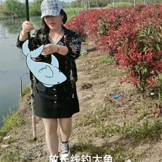 暗淡清香