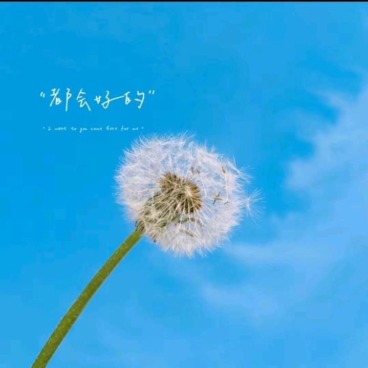 傻兔子《DANGER》