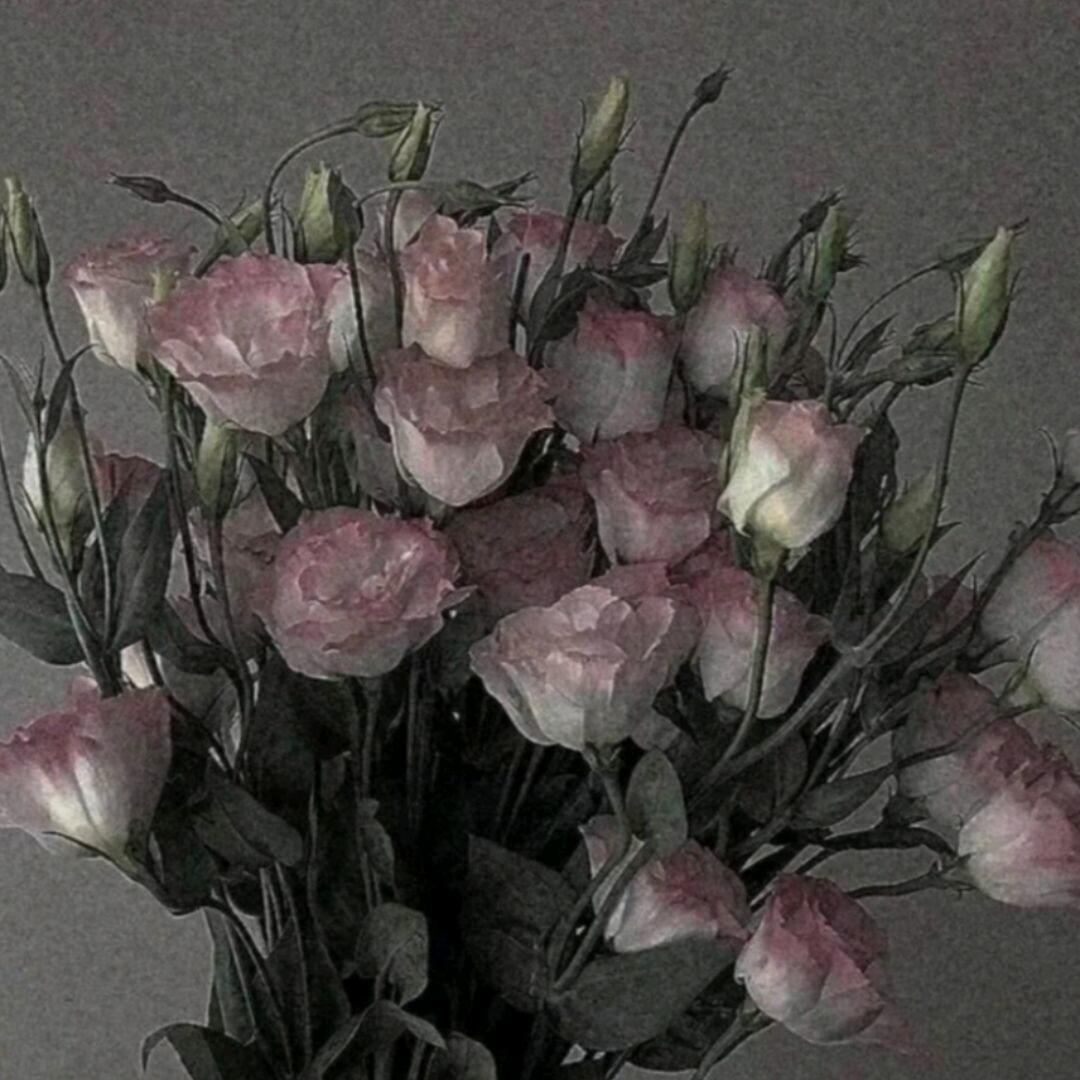 晚风轻抚桃花