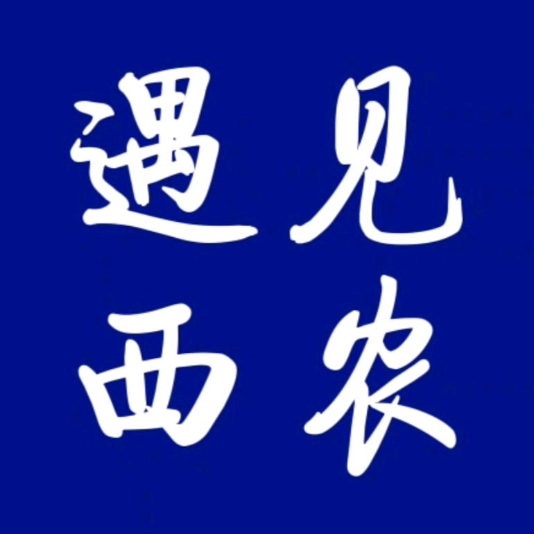 遇见西农