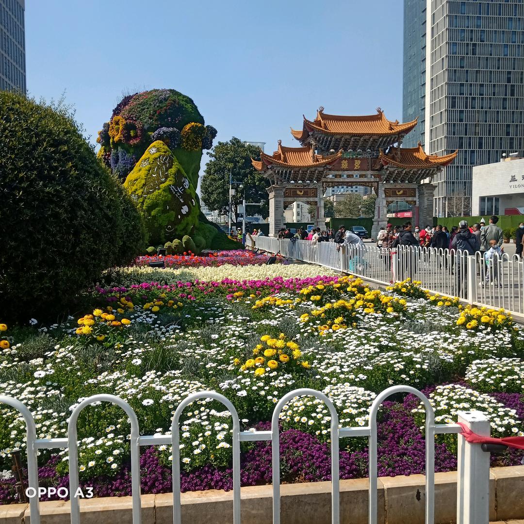 春天的美景