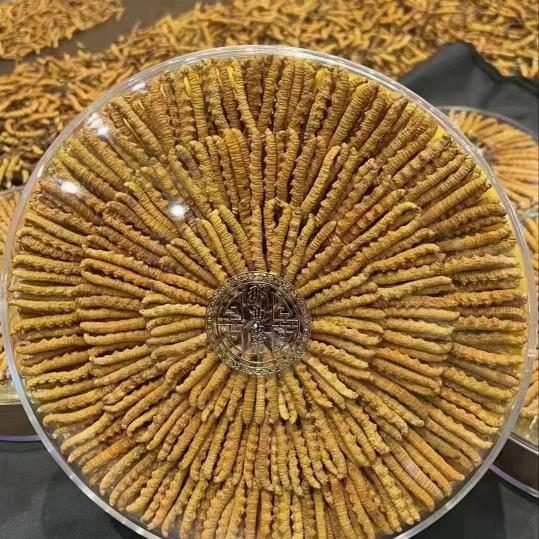 甘！青！川！三江源冬虫夏草联系