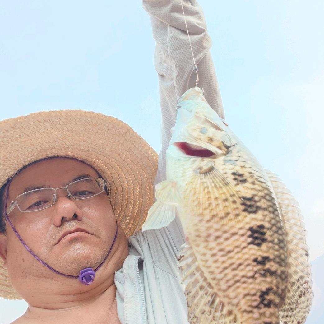 草冒歌