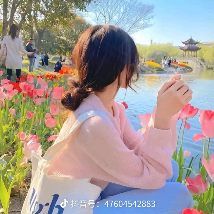晥珀心