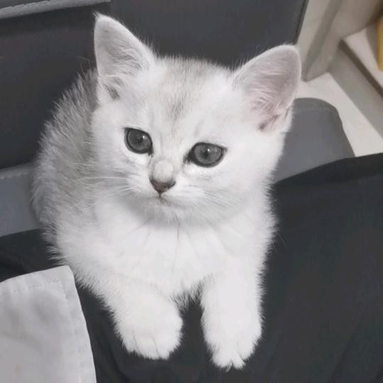 超级无敌霹雳糖