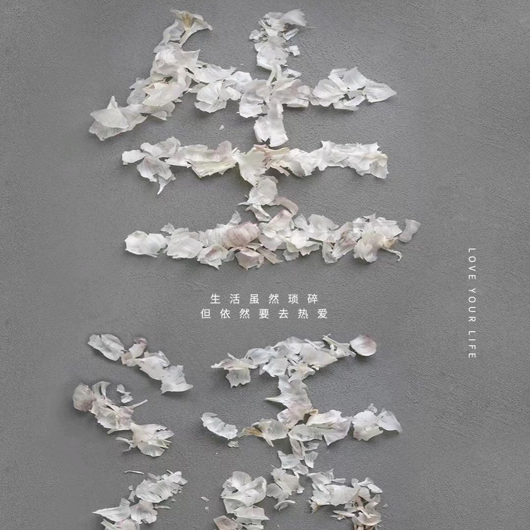 》不:李*^_^*不弃:《