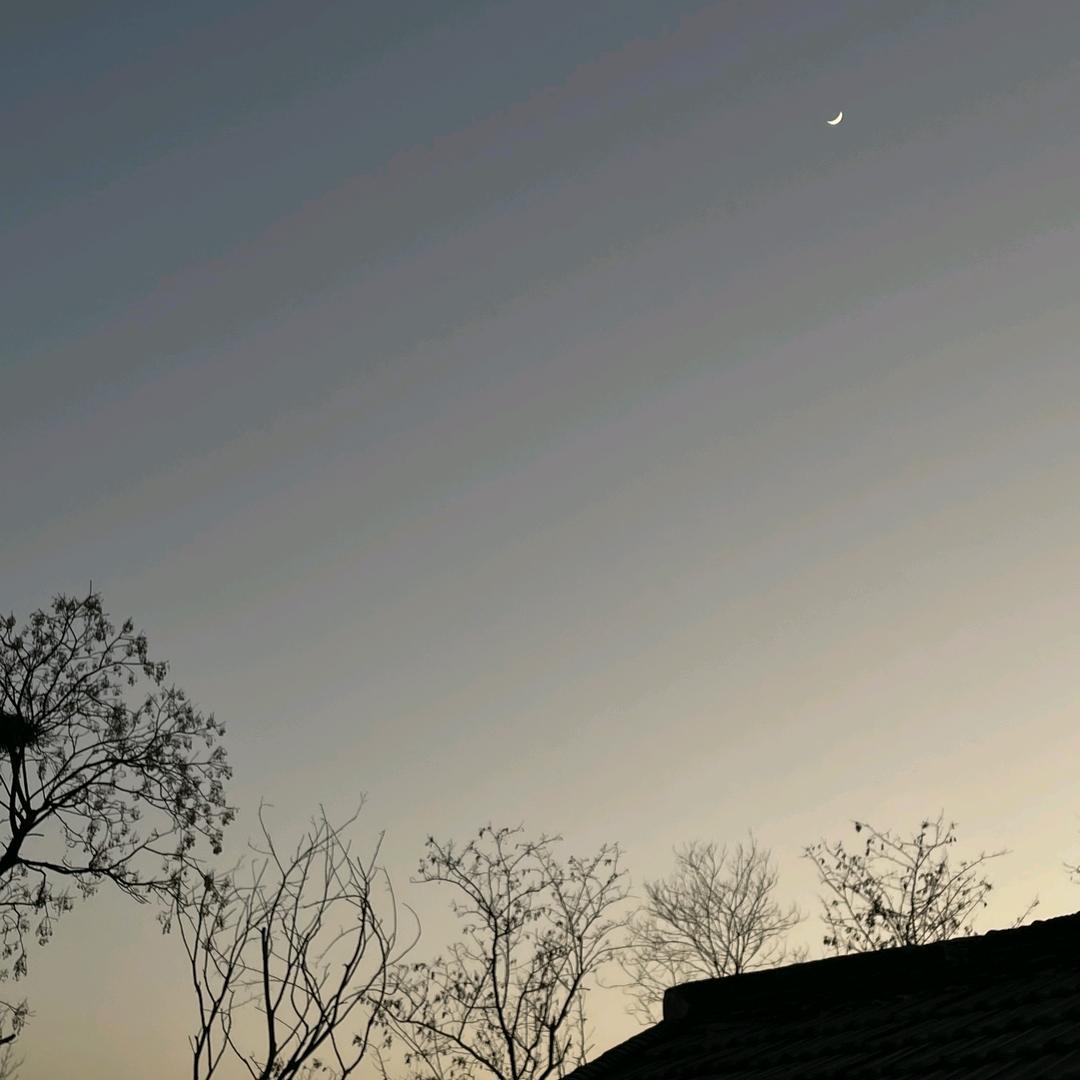 又是被迫内卷的一天