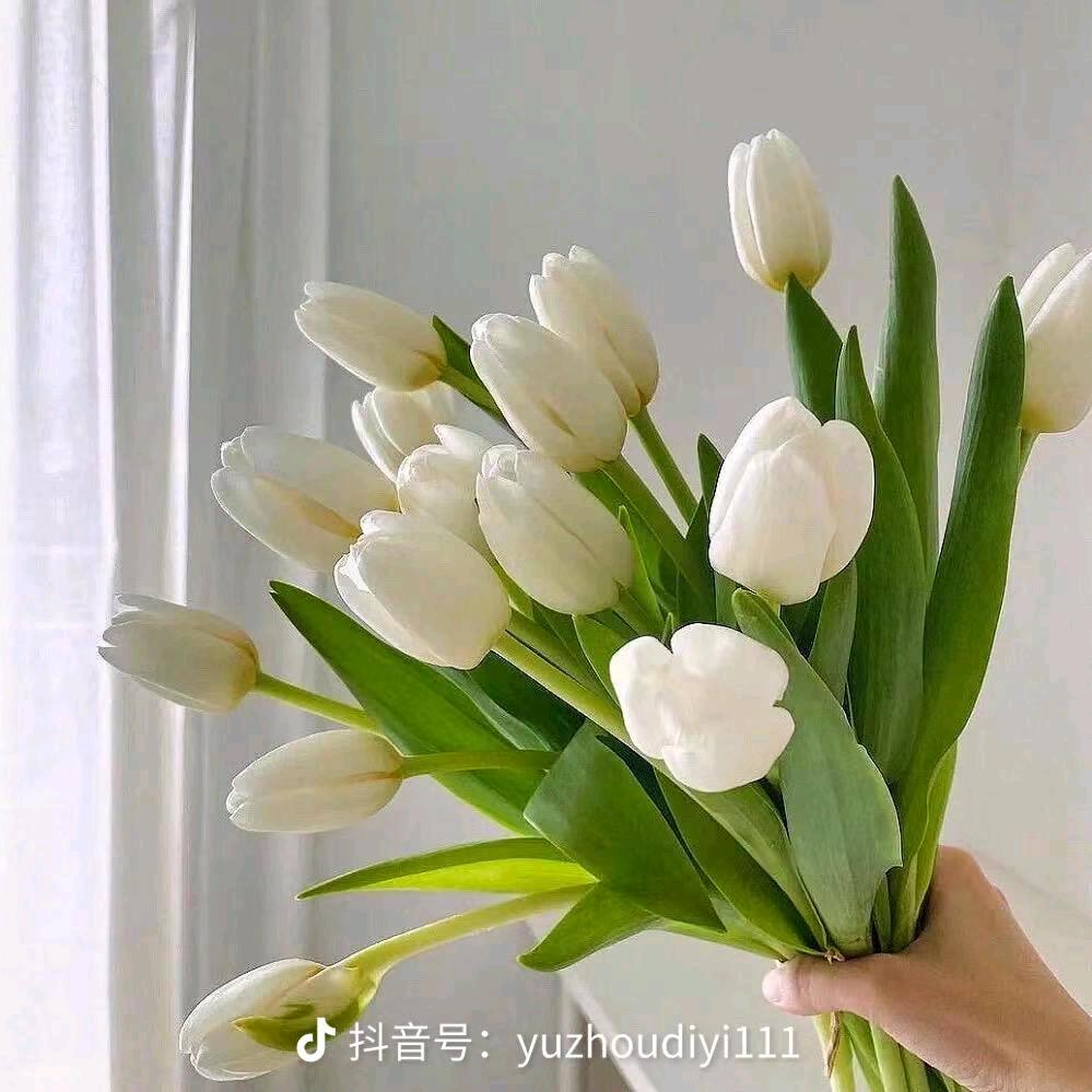 如梦。