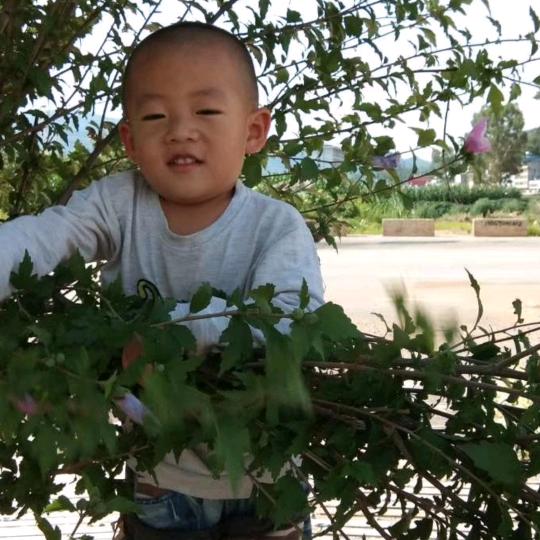 幸福之家