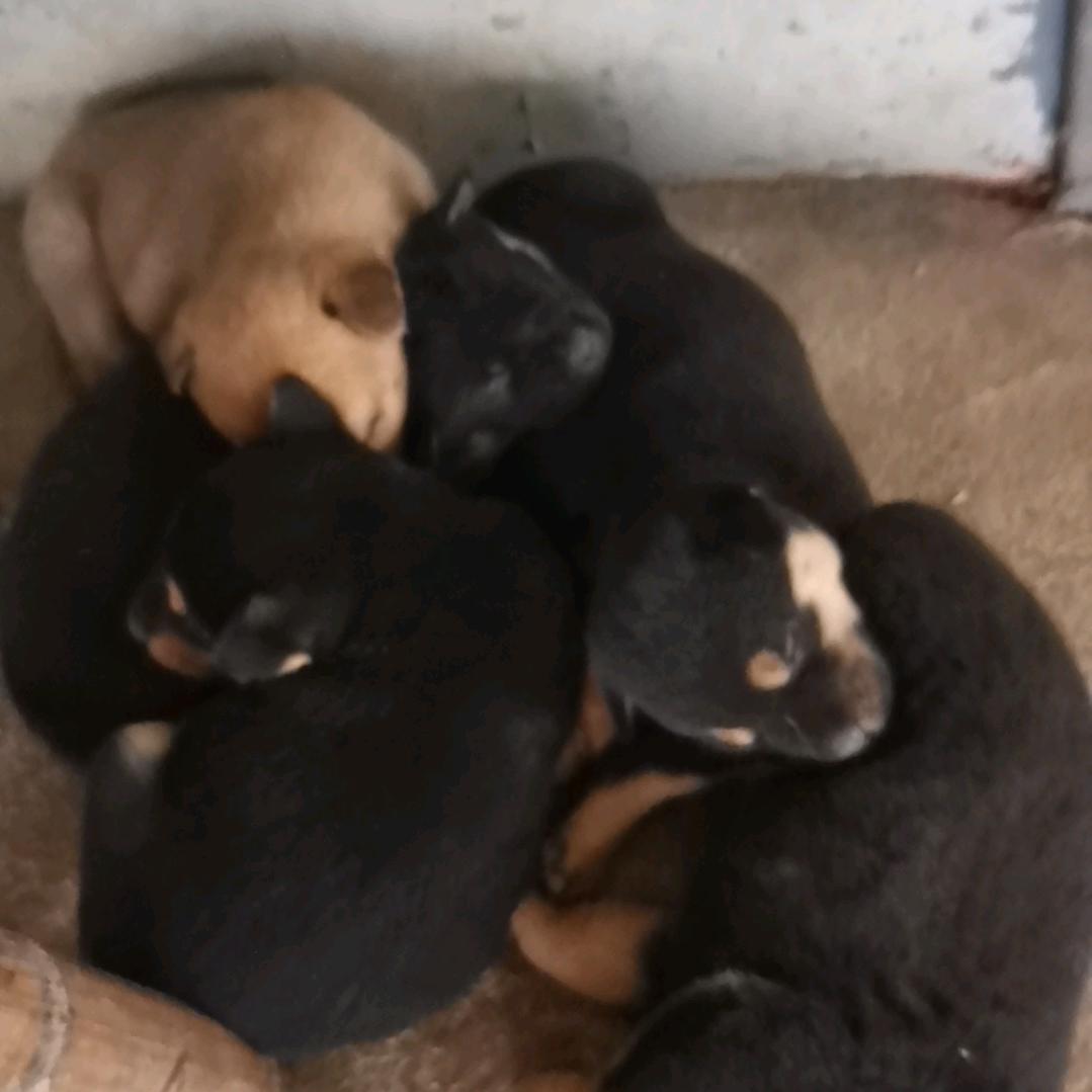 三个一不斋
