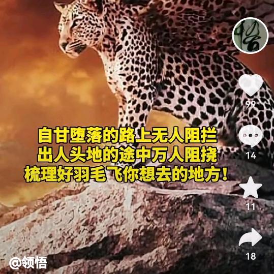 快乐你好