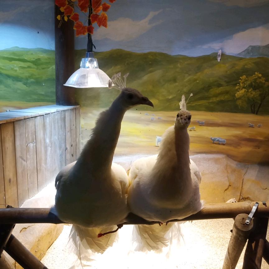 各类手机中框翻新😁😁