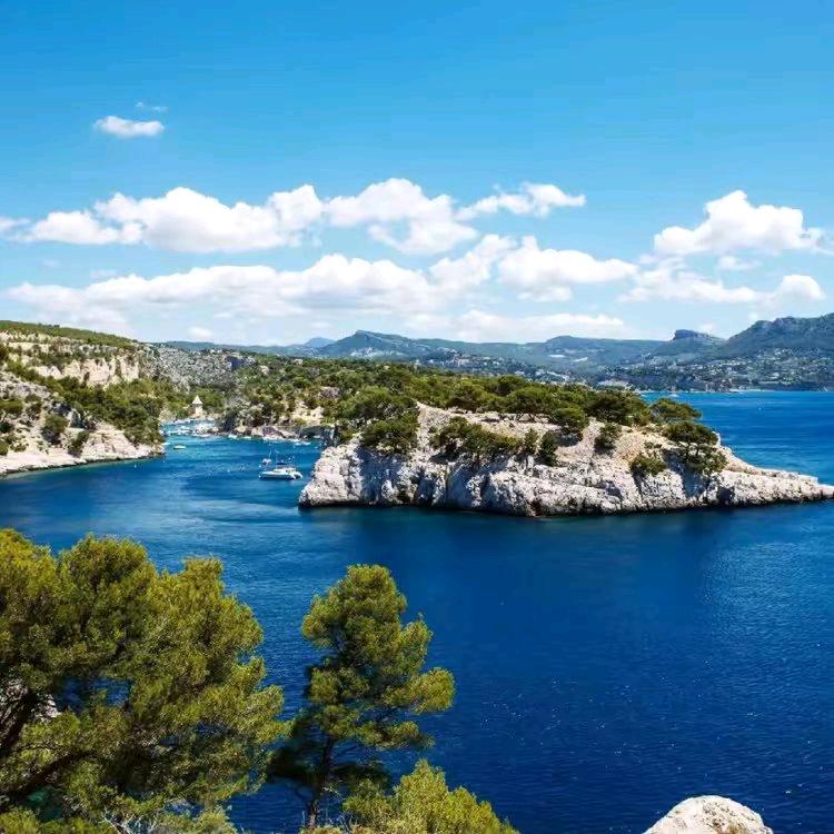 抖抖霞2中午13:14