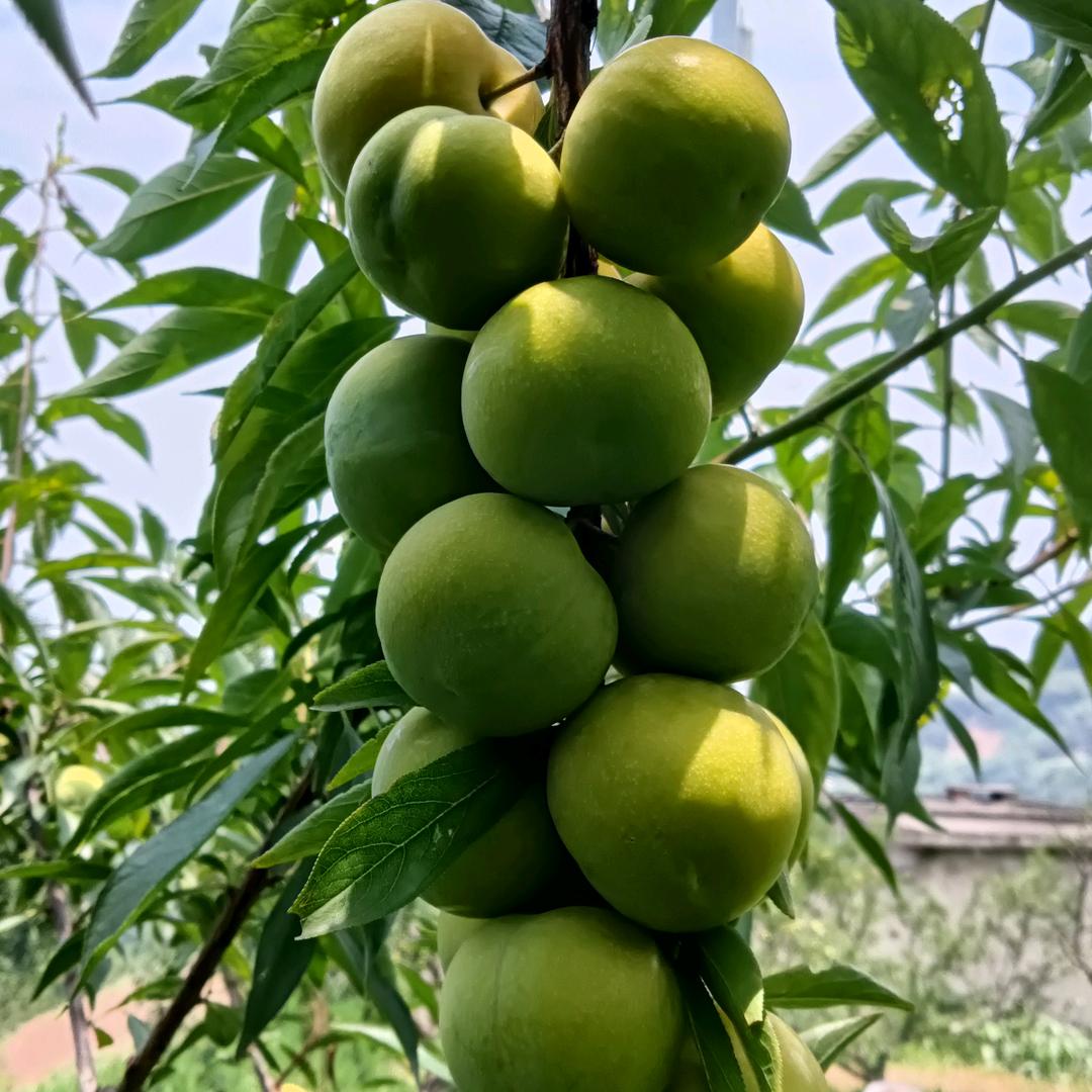 🚬༆运满💰⃟乾坤༅࿐