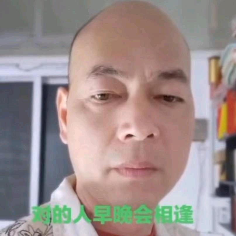 紫去东来