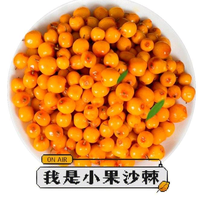 吕梁山野生沙棘果