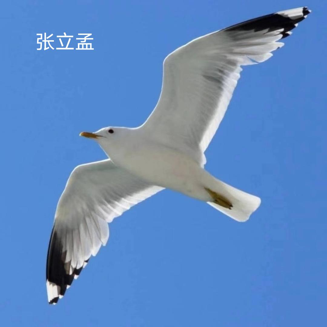 立孟
