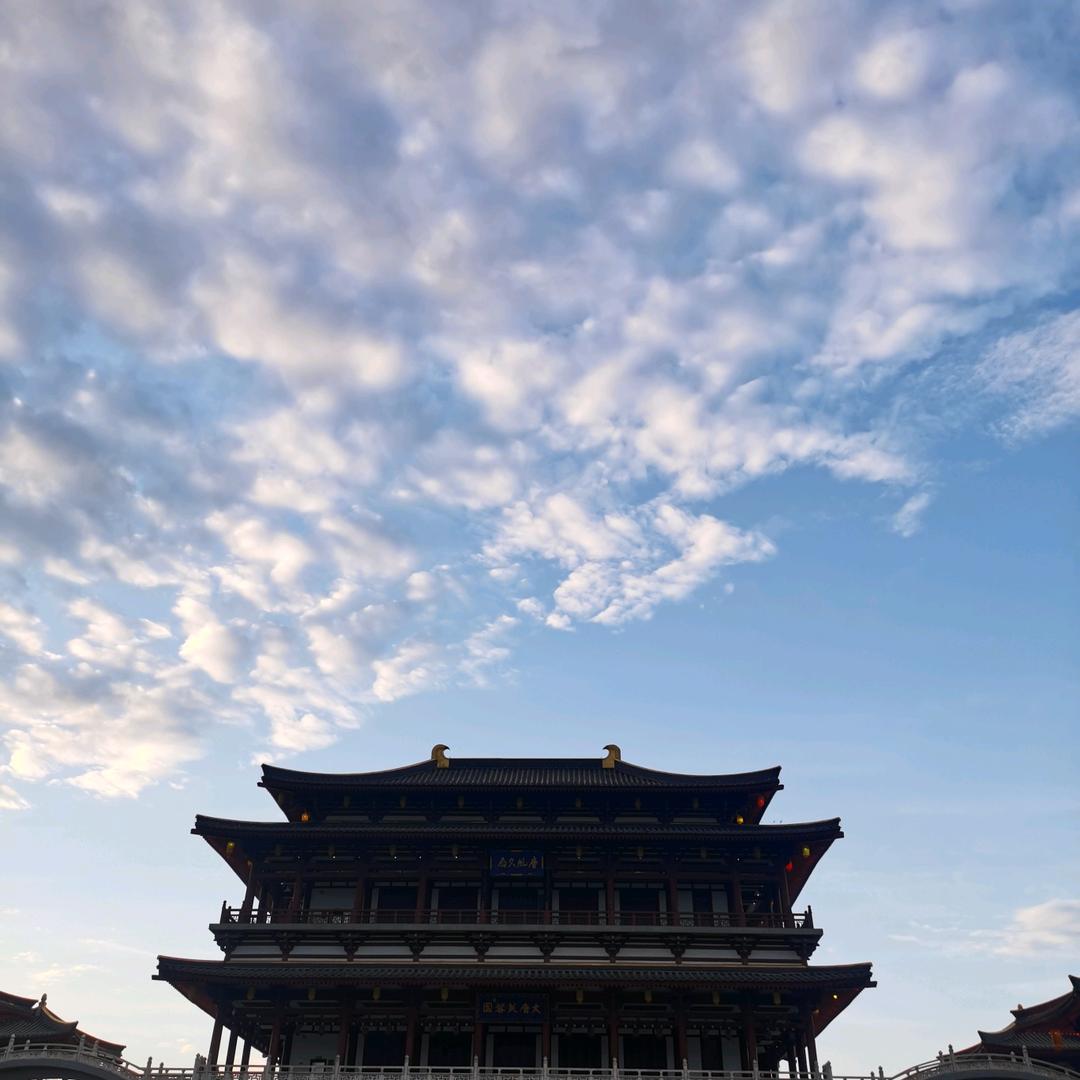 杜小马