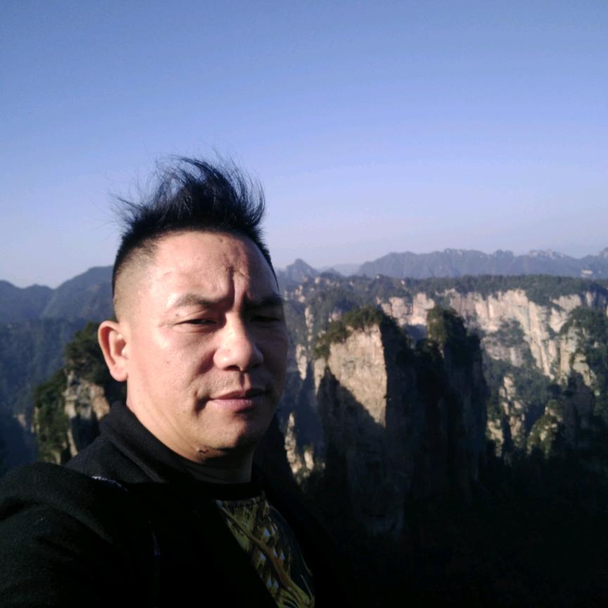 流浪球球户外看蜂