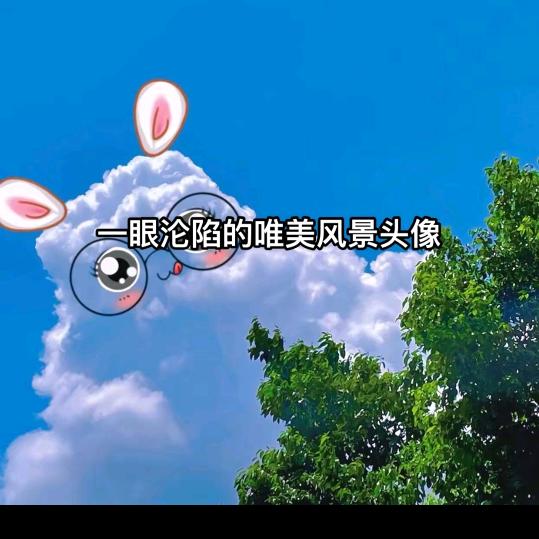 音若蝶