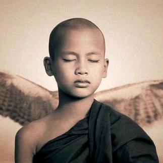 祝大家玩得开心🙂