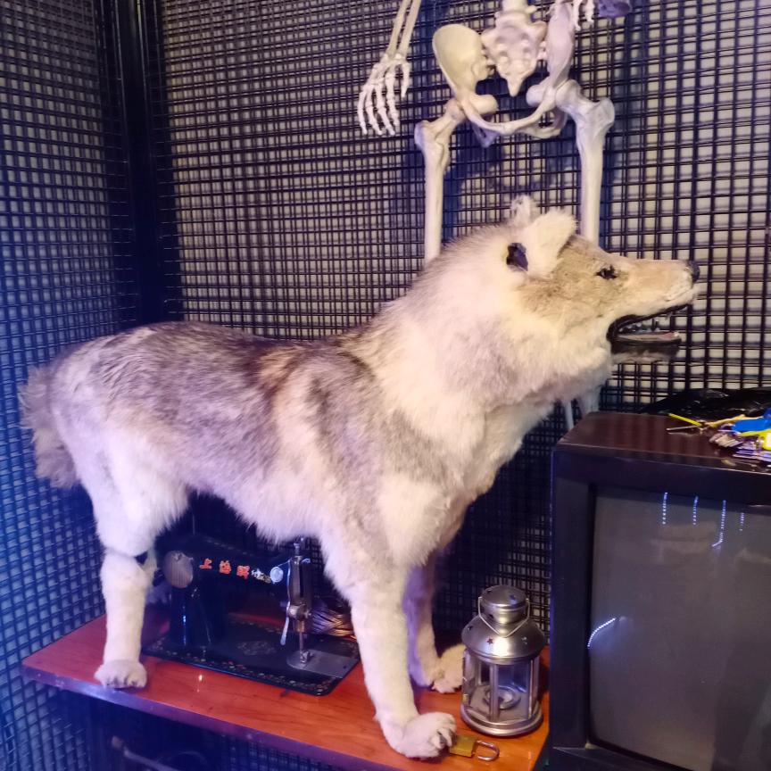 张英👨‍❤️‍👨👨‍❤️‍👨