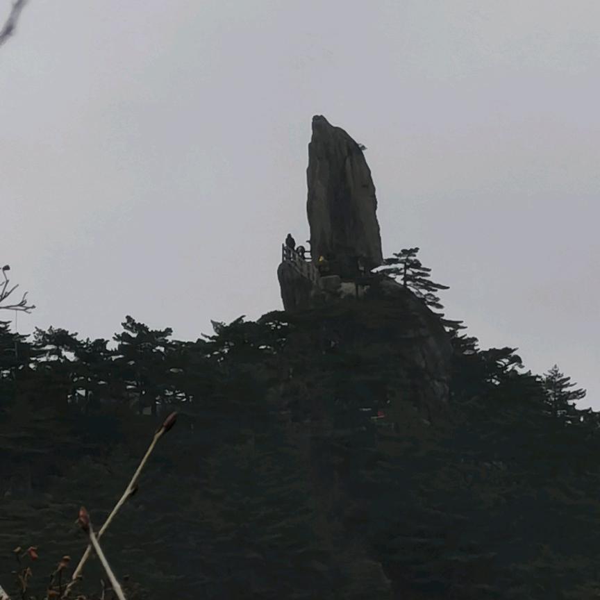 精灵语（美吊施工队）