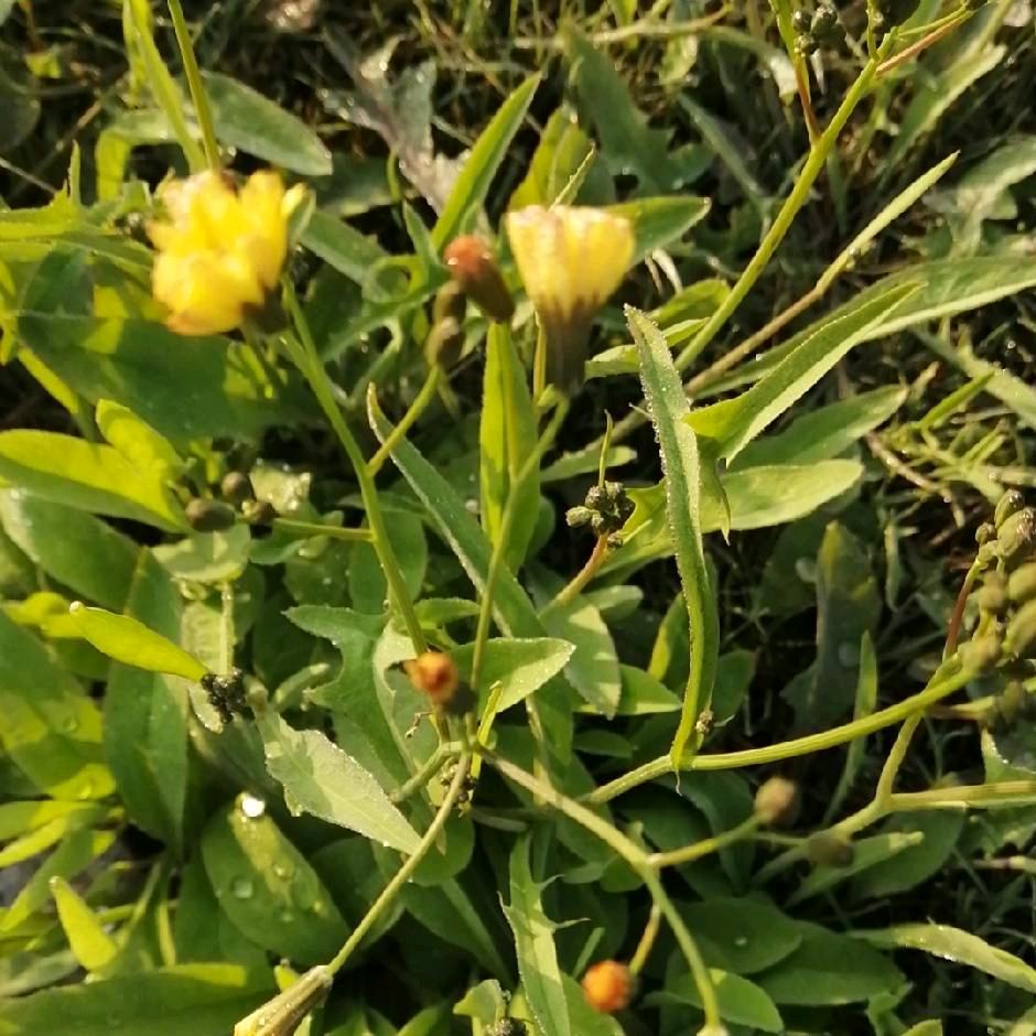 简单快乐每一天《美好状态》