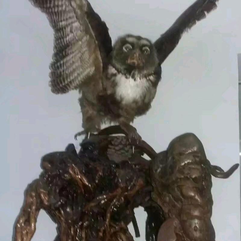 造梦余生