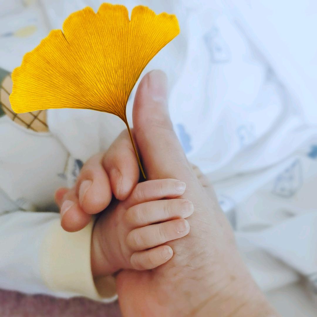 🌾文雯🌾初学者曳步舞（拒绝私聊连赞