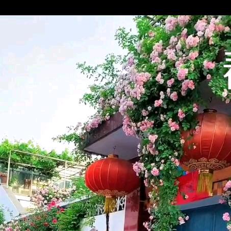 人间烟火🌺🔥