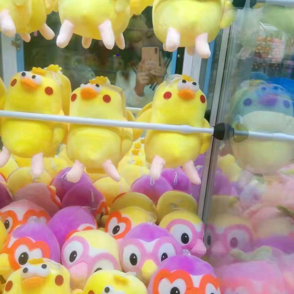碧安车三专业摄影