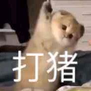 呀呀