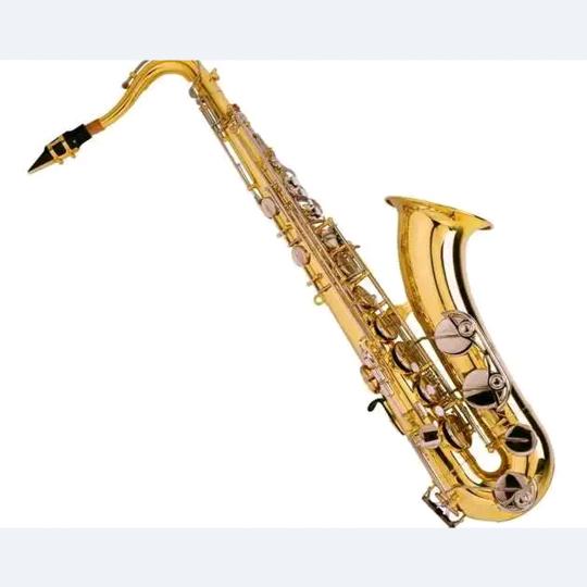 厦门星星河管乐维修中心