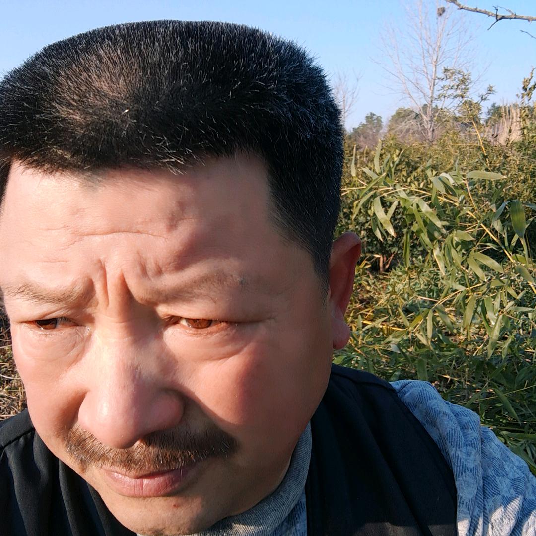 车毛选