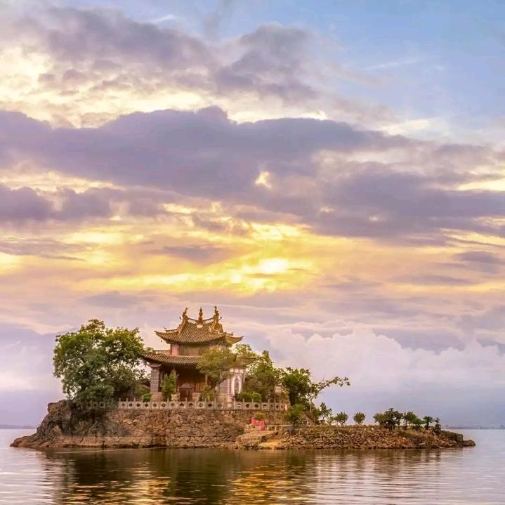 为了我的梦想。